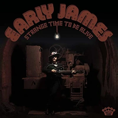 Imagen de Strange Time To Be Alive [Vinilo]