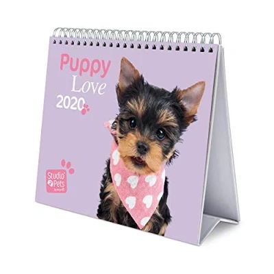 Imagen de Erik Calendario de Escritorio Deluxe 2020 Studio Pets Dogs (17 x 20 cm)