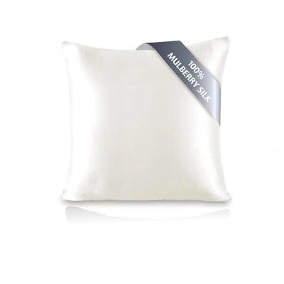 Imagen de TOWNSSILK Funda de Almohada 100% Seda Morera, cuida el Cabello y la Piel, Ambos Lados 19 Momme, 1 Unidad,Naturalwhite， 65 x cm