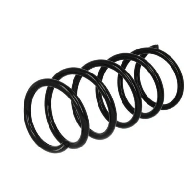 Imagen de Magnum Technology SR134MT Muelle de suspensión Eje delantero