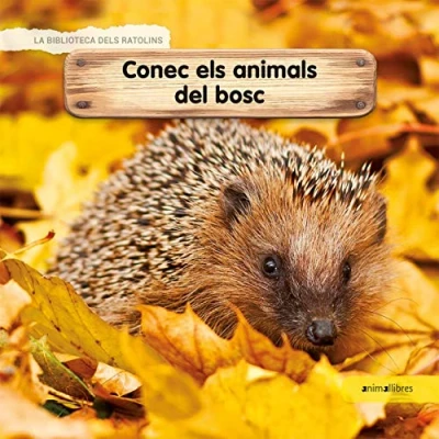 Imagen de Conec Els Animals Del Bosc: 62 (La biblioteca dels ratolins)