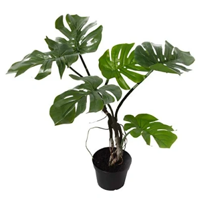 Imagen de Leaf Hoja 60 cm de Tallo Artificial la Vid, Torcido Monstera 60cm, Plástico Madera