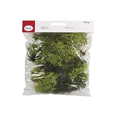 Imagen de Rayher 8503211 Musgo preservado, verde claro, 100 g