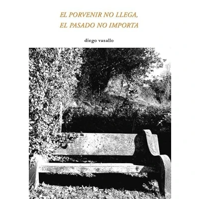 Imagen de el porvenir no llega, pasado importa: 2 (Suite Virginia)