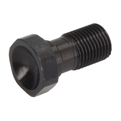 Imagen de Tornillo, latiguillo de freno TRW MCH911S
