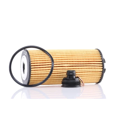 Imagen de PURFLUX L1045 Filtro de aceite Cartucho filtrante BMW: 2 Gran Tourer, Active X1, MINI: Hatchback, Clubman, Countryman