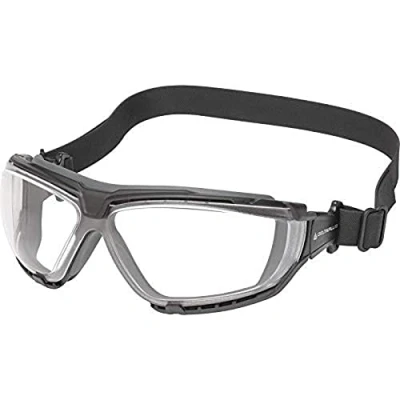 Imagen de Delta Plus gosptin Gafas de policarbonato, incoloro, ajustable, 1 unidad)