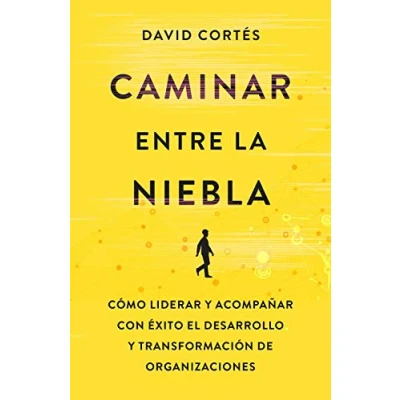 Imagen de Caminar entre la niebla: Cómo liderar y acompañar con éxito el desarrollo transformación de organizaciones (Gestión 2000)