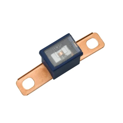 Imagen de HELLA 8JS 740 026 361 Fusible 100 Azul