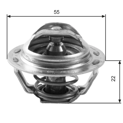 Imagen de GATES FleetRunner Micro V Stretch Fit T43021 Polea tensora, correa dentada