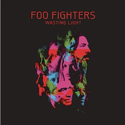 Imagen de Wasting Light