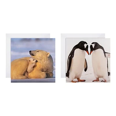 Imagen de Hallmark Tarjetas de Navidad Paquete 16 en 2 diseños National Geographic, 25572277