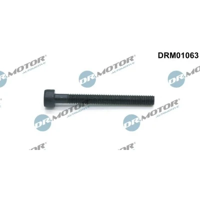 Imagen de DR.MOTOR AUTOMOTIVE DRM01063 Tornillo, soporte inyector VOLKSWAGEN: Transporter 5, Multivan 5 (7HM, Bus