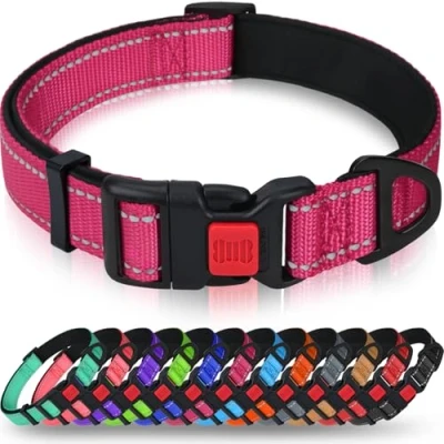 Imagen de Taglory Collar Perro, Nylon Reflectante Neopreno Forrado Ajustable para Perros Medianos, Fucsia