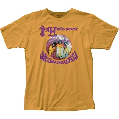 Imagen de Jimi Hendrix are You Experienced?, Ginger, Medium
