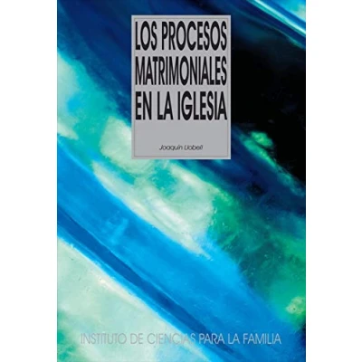 Imagen de Los procesos matrimoniales en la Iglesia (Instituto de Ciencias para Familia)