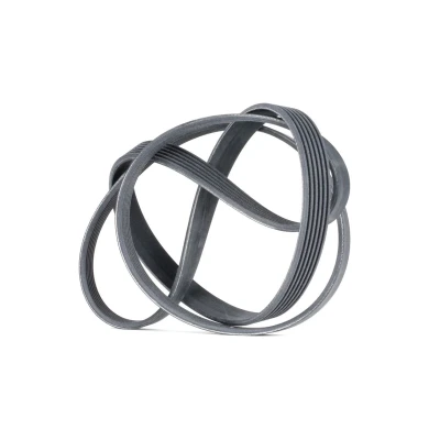 Imagen de CONTITECH 6PK1693 Correa trapecial poli V 1693 6 VOLKSWAGEN: TRANSPORTER 4, 4 Bus, Polo Hatchback, SEAT: Leon II Ibiza