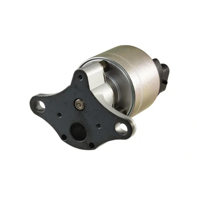 Imagen de HELLA 6NU 010 171 601 Válvula EGR electrónico con junta OPEL: Corsa B Hatchback, Vectra Berlina, CC