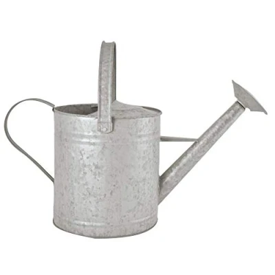 Imagen de Fallen Fruits 6,5 litros Old Zinc regadera
