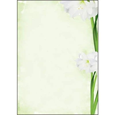 Imagen de SIGEL DP463 Papel de cartas, 21 x 29,7 cm, 90g/m², lirios, verde, 25 hojas