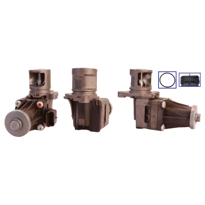Imagen de DRI 717730085 Válvula EGR eléctrico con juntas CITROËN: C4 Picasso 1, Berlingo II, I Hatchback, PEUGEOT: 207 5008 I, 308 Hatchback