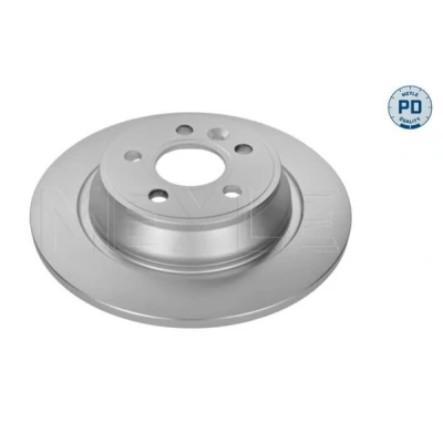 Imagen de MEYLE 715 523 0021/PD Disco de freno Eje trasero 302 10,9 5 108 macizo revestido láminas zinc PD Quality FORD: Focus 2, S Max Mk1, KUGA 1