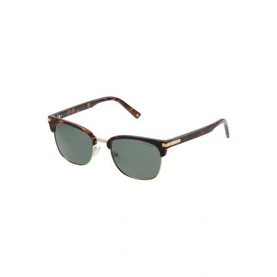 Imagen de Polaroid Gafas de sol, Talla: One Size, Darkhavana