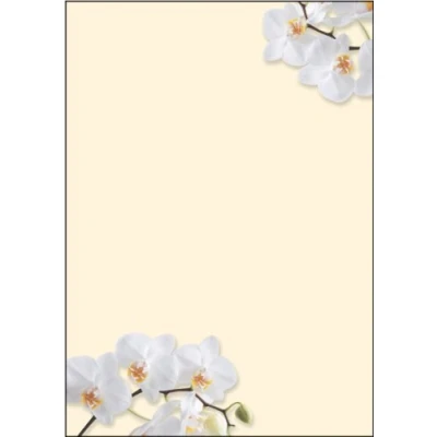 Imagen de SIGEL DP904 Papel de cartas, 21 x 29,7 cm, 90g/m², orquídeas blancas, amarillo, 50 hojas