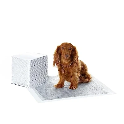 Imagen de Amazon Basics Almohadillas de adiestramiento perros y cachorros, carbón para control olor, a prueba fugas con superficie secado rápido, Normal (40 unidades), Gris