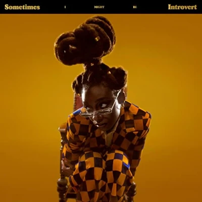 Imagen de Sometimes I Might Be Introvert