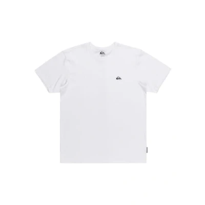 Imagen de Quiksilver Basic SS tee Young Men Camiseta, White, L Hombre