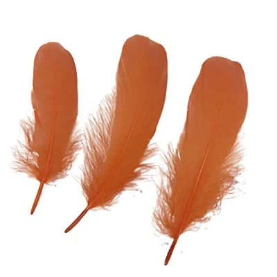 Imagen de Sowder Accesorios de ropa plumas ganso natural, paquete 100. Color verde oscuro