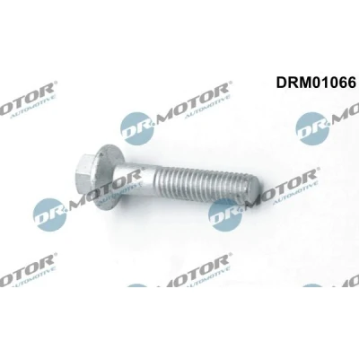 Imagen de DR.MOTOR AUTOMOTIVE DRM01066 Tornillo, soporte inyector FORD: Focus C Max