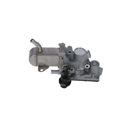 Imagen de NRF 48207 Módulo AGR con radiator EGR RENAULT: MEGANE 3 Coupe