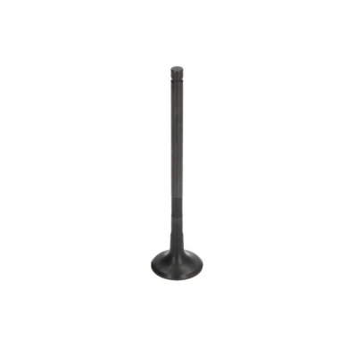 Imagen de IPSA VL174200 Válvula de Escape 24