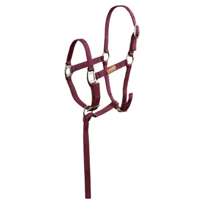 Imagen de Premiere Foal Halter Brisk