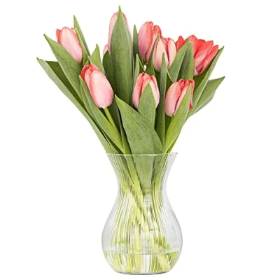 Imagen de TREND FOR HOME Jarrón de Vidrio 18 cm Tulipán Cristal Flores Florero Transparente Estrías Longitudinales Decoracion Salon ⌀ 11 1229 ml Lyra Luminous