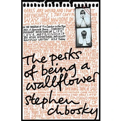 Imagen de The Perks Of Being A Wallflower