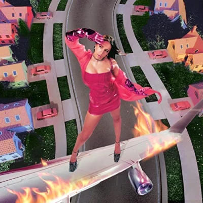 Imagen de I Used To Think Could Fly