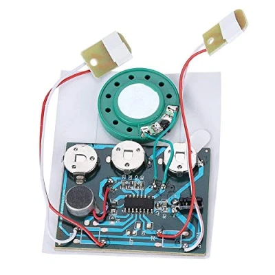 Imagen de módulo grabable de Sonido grabadora Radio Audio Musical, Chip Voz música grabable, Tarjeta de(Extension Cable Version)