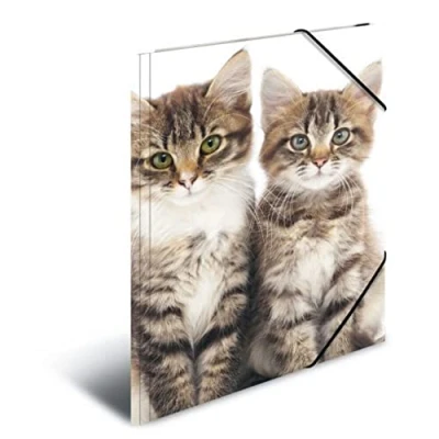 Imagen de HERMA 7138 carpeta de dibujo Animales con motivo Gatos, A4, plástico resistente, impresión interior, 1 palmo