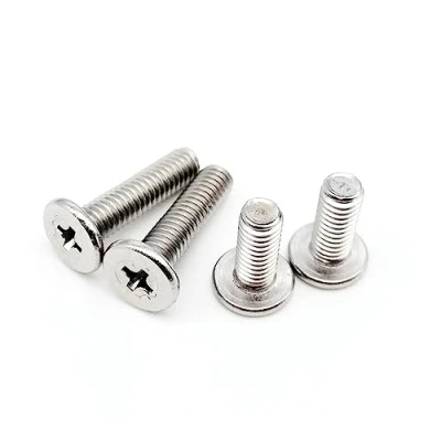 Imagen de JIUYUEYA 10/20/50pcs 304 Stainless Steel Cross Phillips Thin Low Flat Wafer Head Bolt Screw M2 M3 M4 M5 M6,M6*25 10pcs