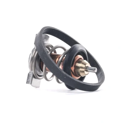 Imagen de Termostato, refrigerante CALORSTAT TH9241.88J