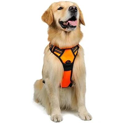 Imagen de rabbitgoo Arnes Antitirones Perro Ajustable con Lineas Reflectantes Arnés Coche Adiesreamiento Chaleco Transpirable Asa Seguridad Grande Naranja