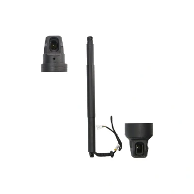 Imagen de Resorte de gas, estante extraíble (maletero/carga) MAGNUM TECHNOLOGY MGS3129MT