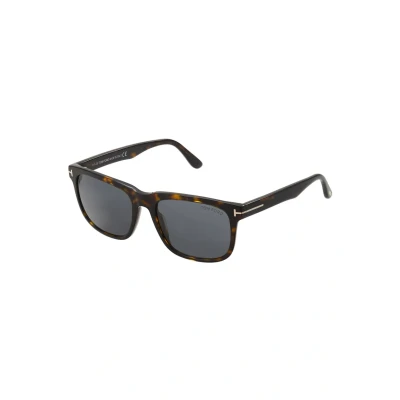 Imagen de Tom Ford Gafas de sol, Hombre, Talla: 56, Dark havana/smoke