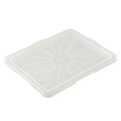 Imagen de keeeper Tapa para Caja de Almacenaje Franz, Tamaño: L/XL, 43 x 35 cm, Franziska, Transparente