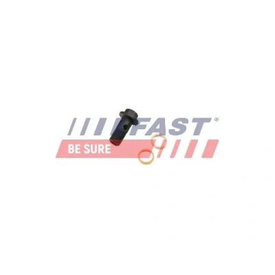 Imagen de FAST FT38931 Perno hueco, turbocompresor