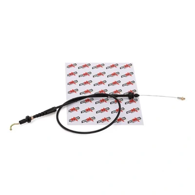 Imagen de Cable del acelerador AUTOMEGA 130070210