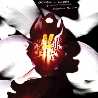 Imagen de Cellophane Memories [Vinilo ltd color]